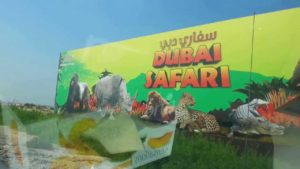 Dubai-Safari-Park